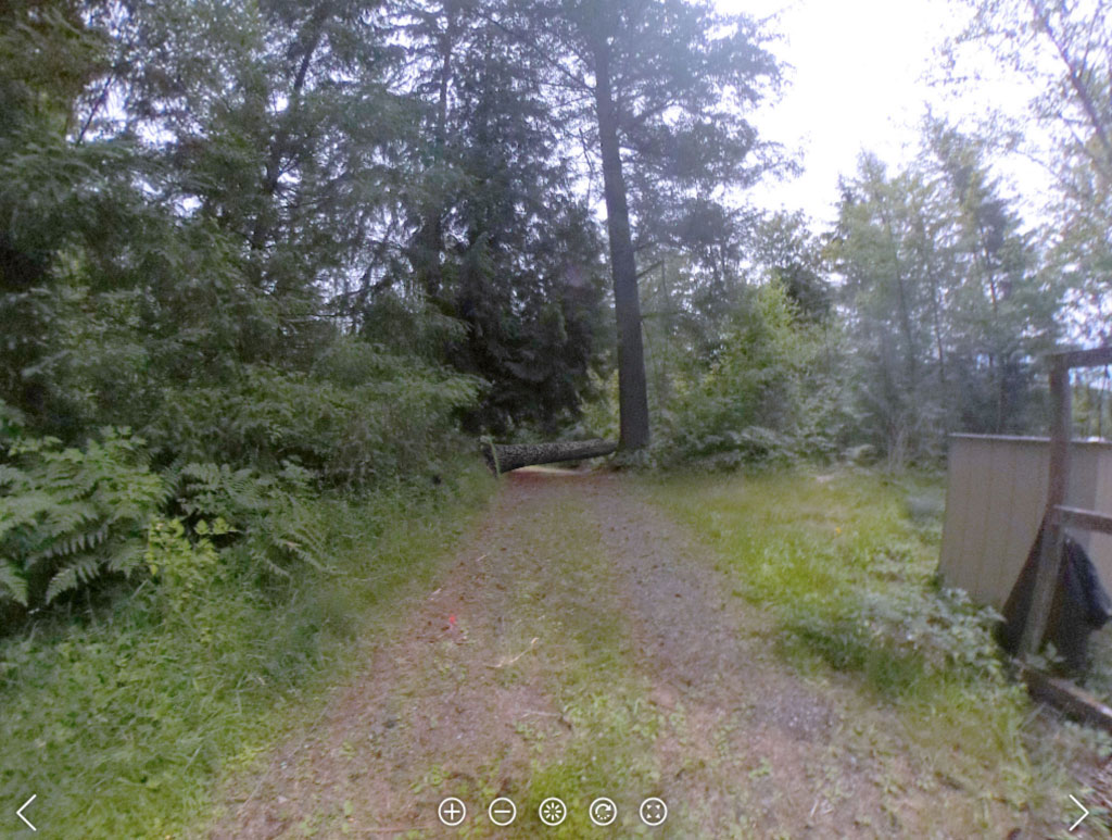 The same wooded path with a large tree trunk fallen across it.